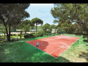 Megasaray Club Belek内部或周边的网球和/或壁球设施