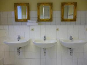 巴特多布兰贝洛奥里豪斯小酒馆旅馆的带三面镜子的浴室内的三个盥洗盆