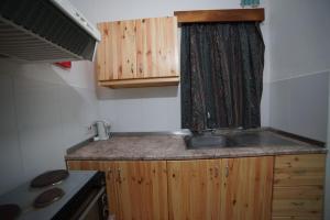 圣保罗湾城卡多假日酒店的一个带水槽和木橱柜的小厨房