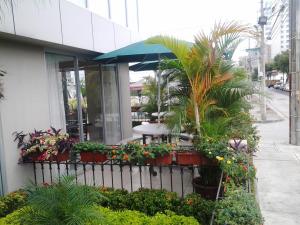 瓜亚基尔HM国际大酒店的一座楼前种满鲜花和植物的餐厅