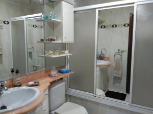 维多利亚-加斯特伊兹Wellington的一间带水槽、淋浴和卫生间的浴室