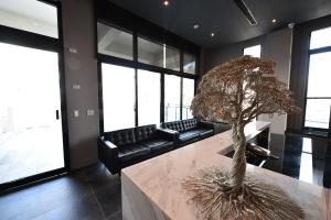 马公天空格子商旅的一间客厅,在大理石台面上种着树