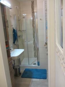 不来梅港Ferienwohnung Seepferdchen的带淋浴、盥洗盆和淋浴的浴室