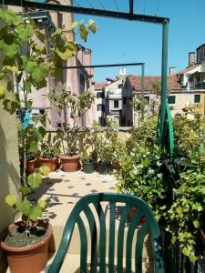威尼斯戴安娜酒店的绿椅,坐在植物阳台
