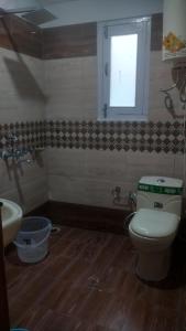 马拉里Himalaya Cottage的一间带卫生间、水槽和窗户的浴室