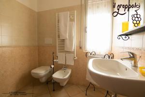 西尔米奥奈B&b Il grappolo Foresteria Lombarda的浴室配有盥洗盆、卫生间和盥洗盆。
