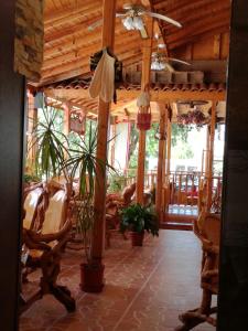 希典Hotel Lazur的一间餐厅,房间里摆放着椅子和植物