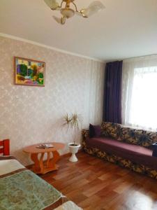 切尔尼戈夫Apartment on Prospekt Peremogi的带沙发和窗户的客厅