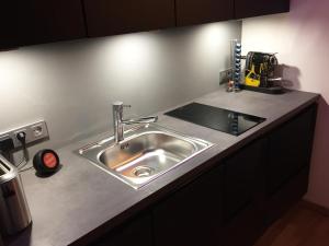 杜塞尔多夫21st Appartement的厨房柜台配有不锈钢水槽