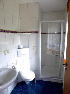 卡尔斯哈根Ferienhaus Karlshagen USE 1011的带淋浴、卫生间和盥洗盆的浴室