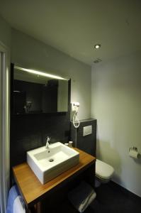 Zoersel德海德布鲁姆酒店的一间带水槽、卫生间和镜子的浴室