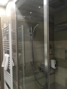塞格德Gutenberg Apartments的浴室里设有玻璃门淋浴