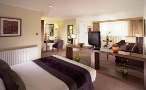 纽伯里Regency Park Hotel, Health Club & Spa的酒店客房配有一张床和一张书桌及一台电视