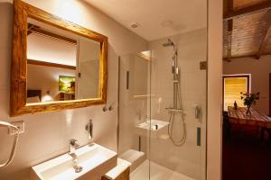米库洛夫Hotel Ryzlink的带淋浴、盥洗盆和镜子的浴室