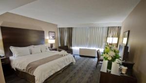 温尼伯温尼伯市中心丽笙酒店 的酒店客房设有一张大床和一张书桌。