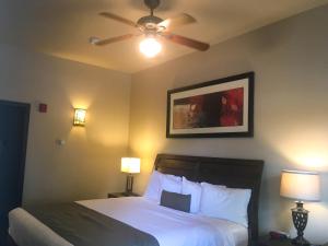 基奈基奈机场酒店的一间卧室配有一张带吊扇和两盏灯的床。