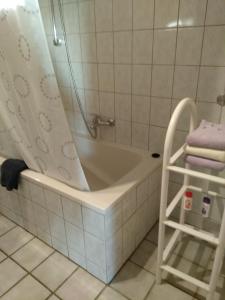 BrinjaheFerienwohnung Wisbek的浴室设有带浴帘的浴缸