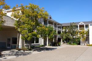 圣路易斯-奥比斯保Hotel Buena Vista - San Luis Obispo的前面有一棵树的大建筑