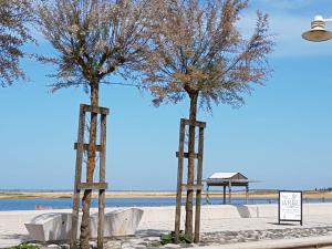 马雷讷Dormir sur la Plage的海滩中央的两棵树