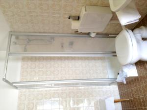 巴特斯哈尔巴赫伽尔尼酒店 的一间带卫生间和淋浴的浴室