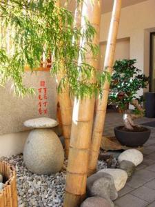 布列瑟农克雷莫纳加尼旅馆的花园里的竹树和岩石群