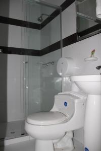 潘普洛纳COLOMBIA-Hotel Hontibon的一间带卫生间和玻璃淋浴间的浴室