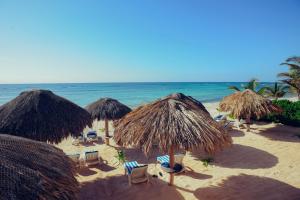 艾库玛尔阿克泰克别墅德罗萨度假酒店的海滩上的一把稻草遮阳伞和椅子