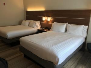 维克托快捷假日酒店罗切斯特 - 维克多的酒店客房带两张床和电话