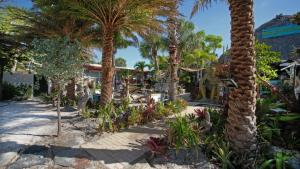 西耶斯塔岛BeachPoint Cottages的海滩上种有棕榈树的度假村
