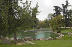 马德里Apartamento Valmojado的公园里的一个池塘,里面有很多动物