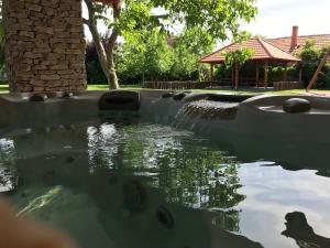 波罗斯洛Villa Holiday的庭院里喷泉池水