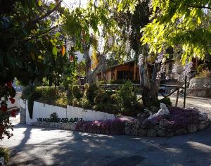 马萨鲁布朗斯Villaggio Syrenuse Residence的公园里种满鲜花和雕像的花园
