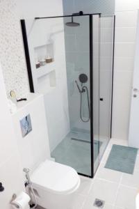新阿尔塔基Colours Seaview Apartment的浴室设有玻璃淋浴间和卫生间