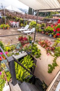 危地马拉安地瓜Casa De Leon的花园商店,在楼梯上种有鲜花和植物