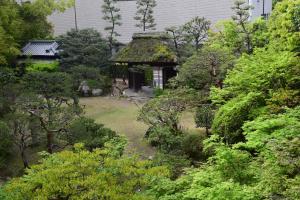 松山福那雅酒店的一个带草屋顶的房屋的花园