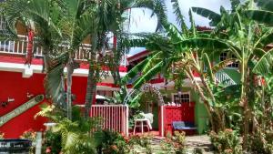圣安德烈斯Posada Nativa Licy的前面有棕榈树的房子