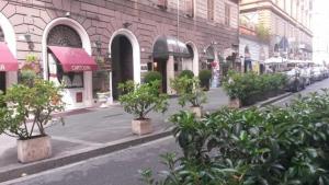 罗马Hotel Serena srl的建筑前有树的街道