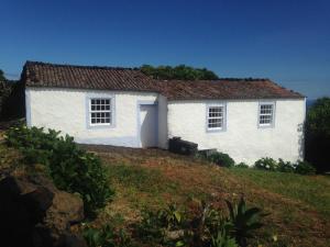 Santo AntónioCasa do Alto的山顶上的白色房子