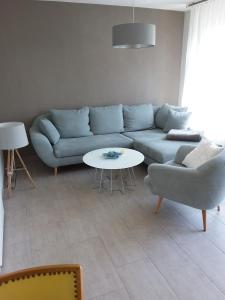 康斯坦茨Konstanz的客厅配有蓝色的沙发和桌子