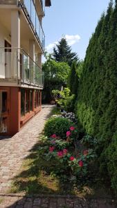 斯维诺乌伊希切Villa Melodia的一座花园,旁边是一座粉红色的花卉