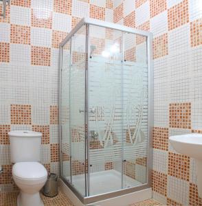 亚喀巴金玫瑰酒店的带淋浴、卫生间和盥洗盆的浴室