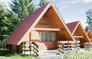 斯托拉Villa Tatry Stola的一间设有红色屋顶的小木屋