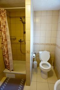 赫拉布斯Apartmány Petronela的一间带卫生间和淋浴的小浴室