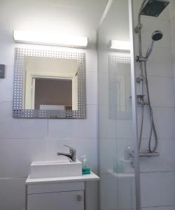 WaulsortHoliday Cottage的带淋浴、盥洗盆和镜子的浴室