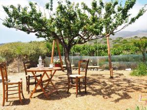 RodhopósTraditional Cretan Villa的院子树下桌椅