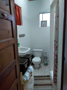 蓬塔戈尔达Creekside Oasis的一间带卫生间和水槽的浴室