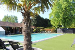 隆德泽尔泰尔隆德泽尔酒店 的游泳池旁的棕榈树
