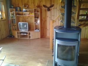 LeopoldshagenFerien auf dem Lande的客厅设有壁炉和电视。