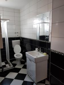 克拉古耶瓦茨Blue point的一间带卫生间、水槽和镜子的浴室