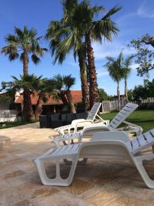 Macchia di Monte拉卡塞塔住宿加早餐酒店的一组白色的躺椅和棕榈树